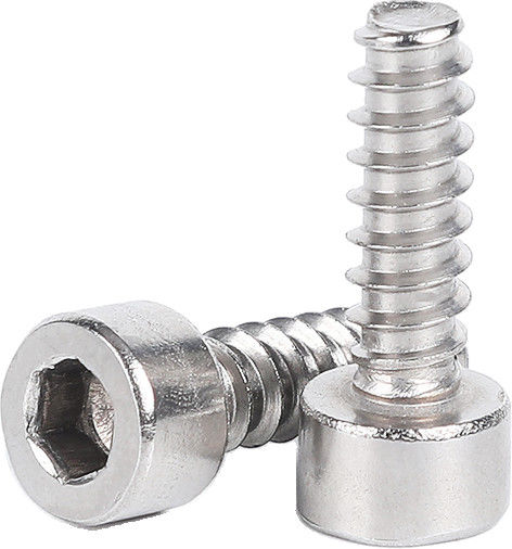 Gepersonaliseerd roestvrij staal alle grootte ISO14579 roestvrij staal hexalobulaire stopcontact hoofd cap micro schroeven