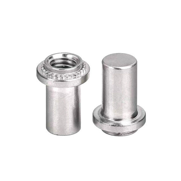 Aanpassingsservice van China Leveranciers Speciale vorm TPS Flush-mounted Pilot Pins voor industriële machines