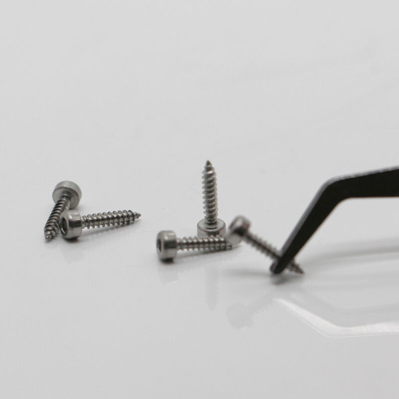 Stainless Steel Ultra-Micro Precision Pan Head Screws M0.5-M3 met nikkel omhulde voor industriële toepassingen
