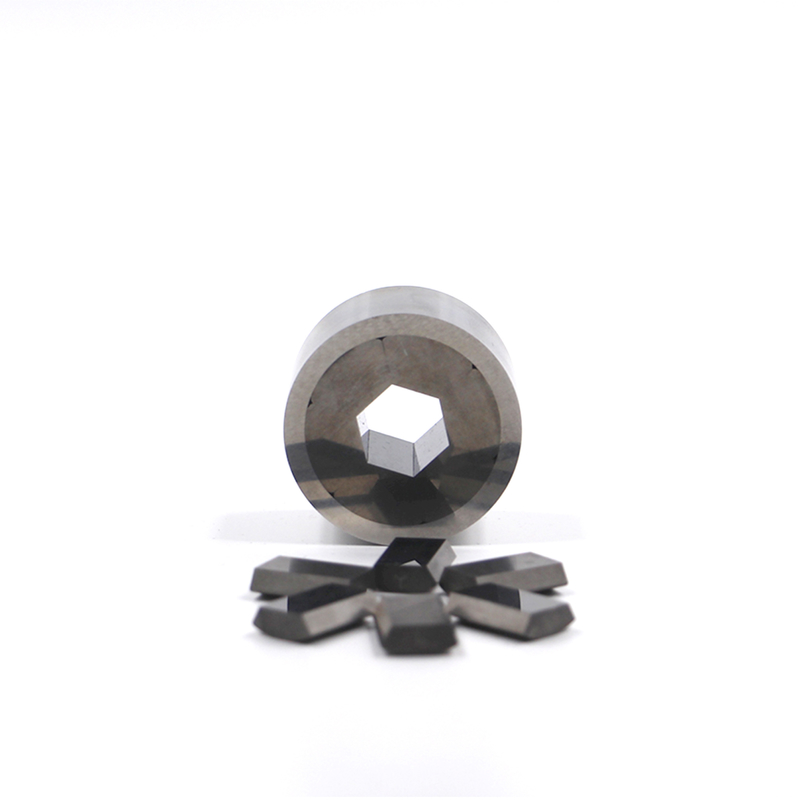 Segmented Hex Die Wear Thermal Fatigue Resistant voor roestvrij koolstofstaal Cold Hot Forging Vervangbare modules Gemakkelijk onderhoud
