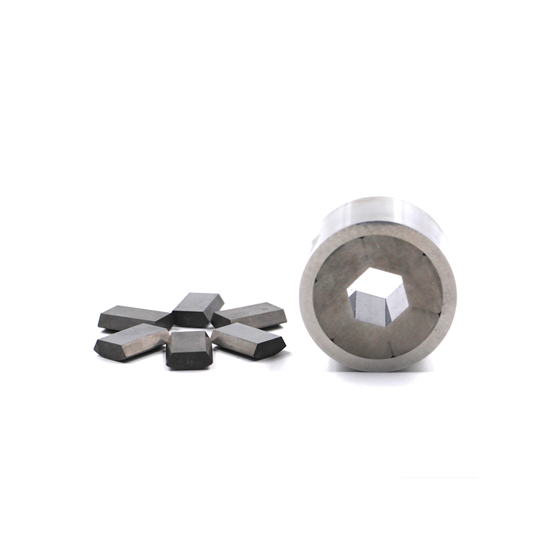 Segmented Hex Die Wear Thermal Fatigue Resistant voor roestvrij koolstofstaal Cold Hot Forging Vervangbare modules Gemakkelijk onderhoud