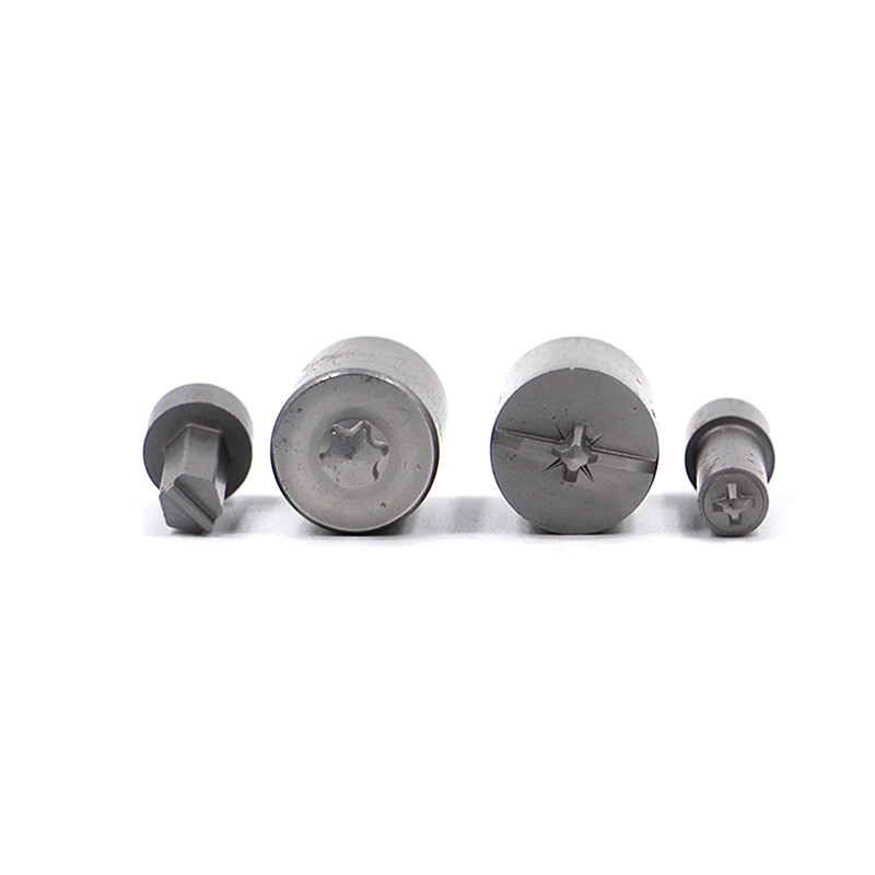 HRC58-62 Nitrideerde legeringstaal Tweede Punch Case Voor Auto Stamping Electronics Progressive Die