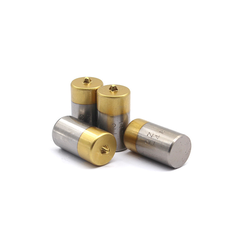 HRC58-62 Nitrideerde legeringstaal Tweede Punch Case Voor Auto Stamping Electronics Progressive Die