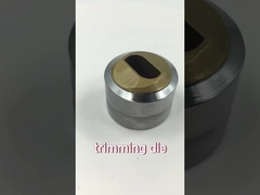 Customized Trimming Dies Special Shaped CVD Coating ISO 9001 Standard